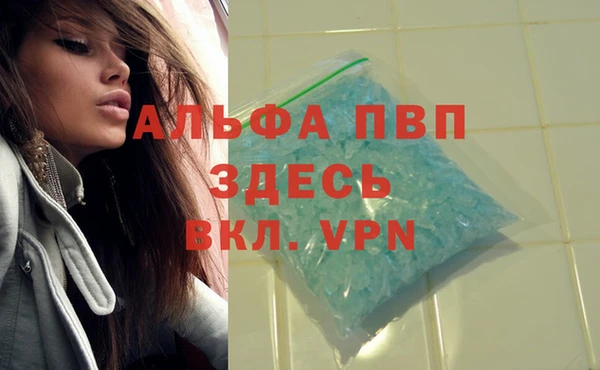 прущие грибы Волоколамск
