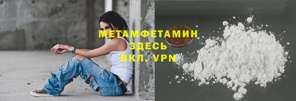 прущие грибы Волоколамск