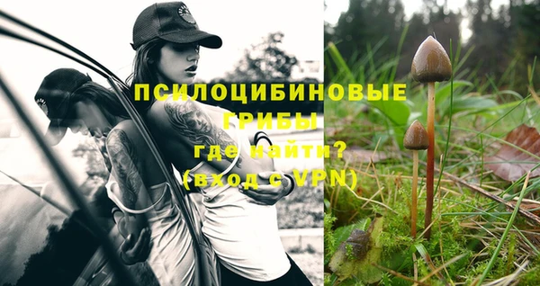 прущие грибы Волоколамск