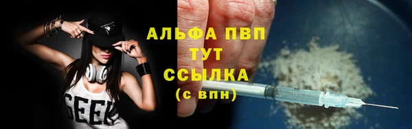прущие грибы Волоколамск