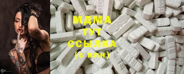 прущие грибы Волоколамск