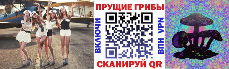 Псилоцибиновые грибы GOLDEN TEACHER  гидра ТОР  Горбатов 